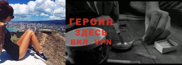 прущие грибы Верхний Тагил