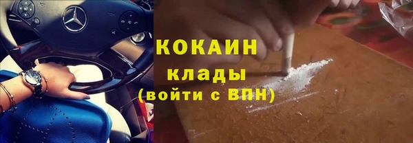 крисы Бронницы