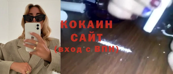 дурь Бородино