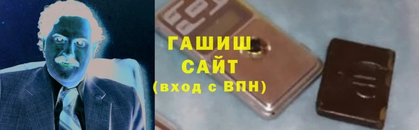 прущие грибы Верхний Тагил
