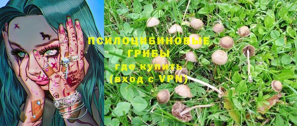 прущие грибы Верхний Тагил