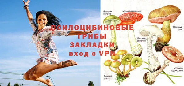 дурь Бородино