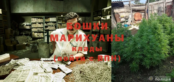 прущие грибы Верхний Тагил