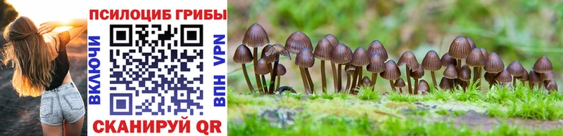 ОМГ ОМГ ONION  Воркута  Галлюциногенные грибы Magic Shrooms 