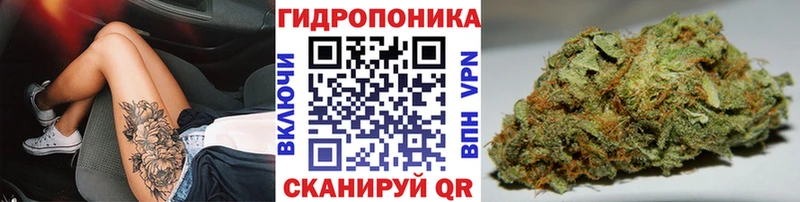 дарнет шоп  Воркута  Конопля марихуана 